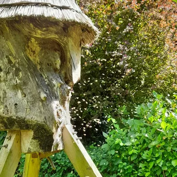 Bee activity outside an elevated log hive