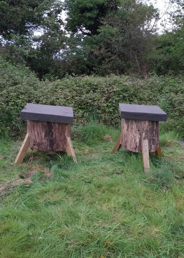2 Transfer Log hives in a clearing