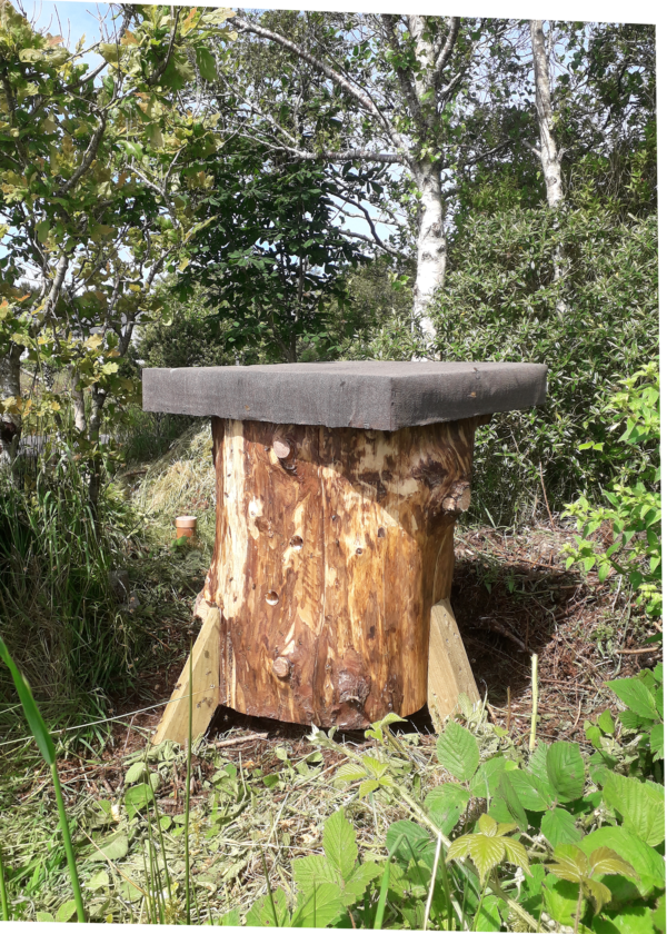 Transfer Log Hive in a forest