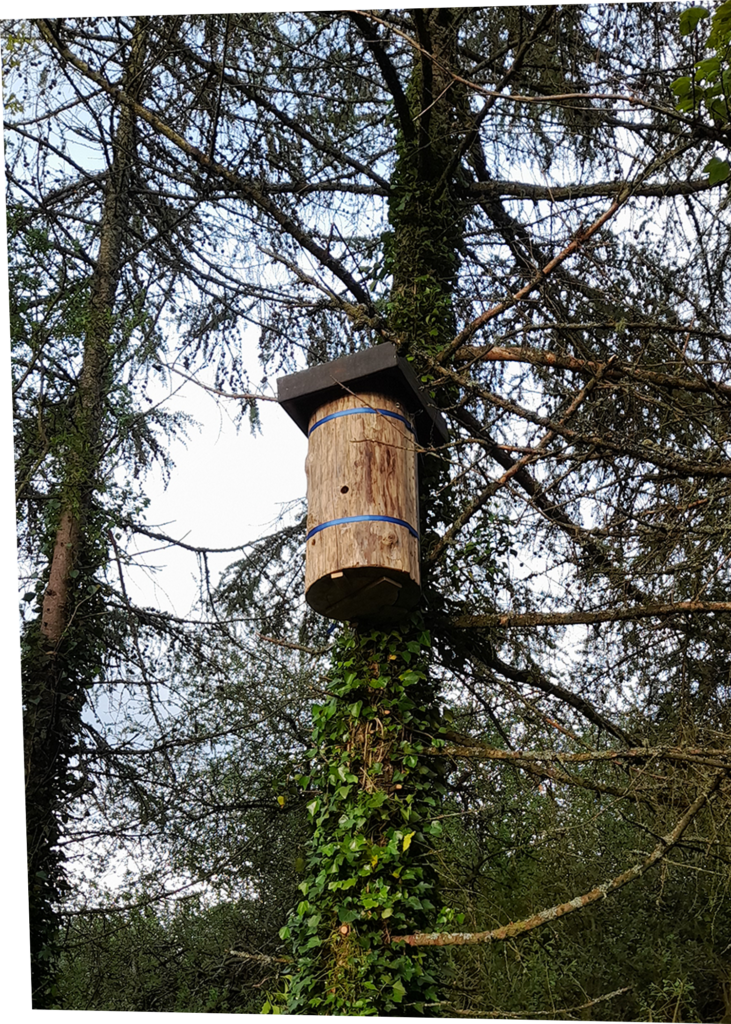 Tree log hive in a tree