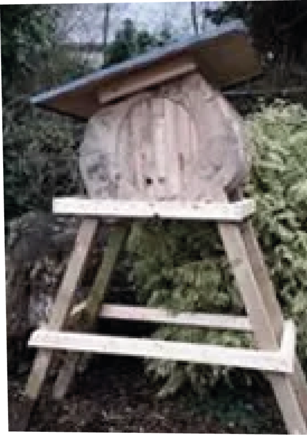 The observation log hive with bushes behind