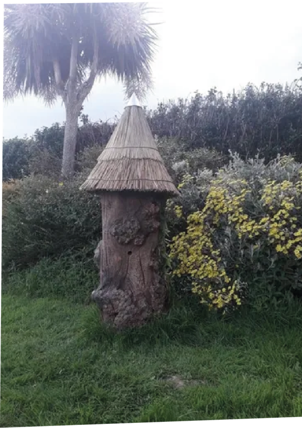 Standing Log hive in a field surrounded by plants and trees