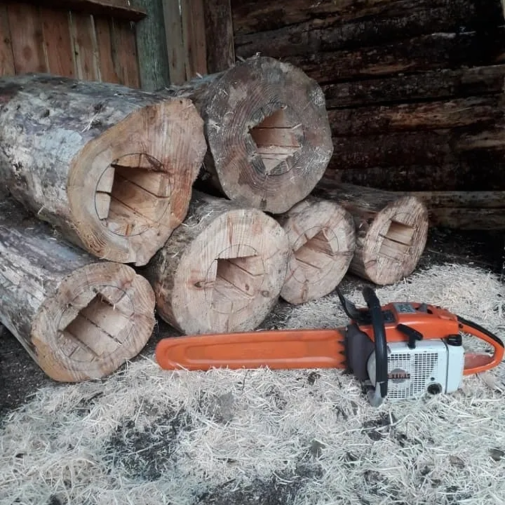 Cored Logs ready to be made into loghives